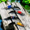 Chieftains Curved Knife - Image 5